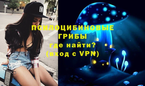 мдма Каменногорск