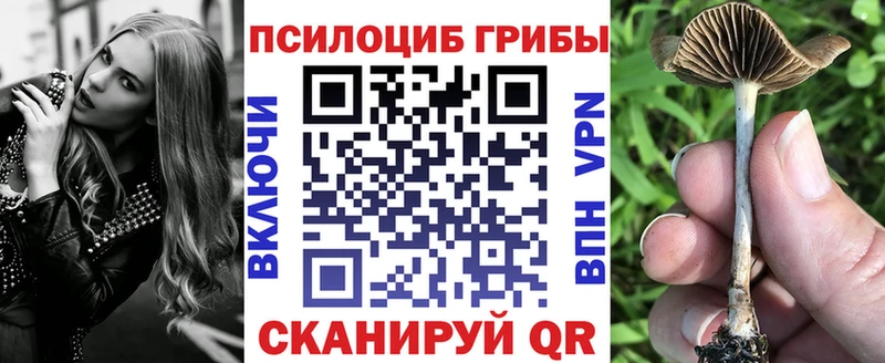Псилоцибиновые грибы Magic Shrooms  Купить закладки  Чайковский 